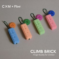 CLIMB BRICK
